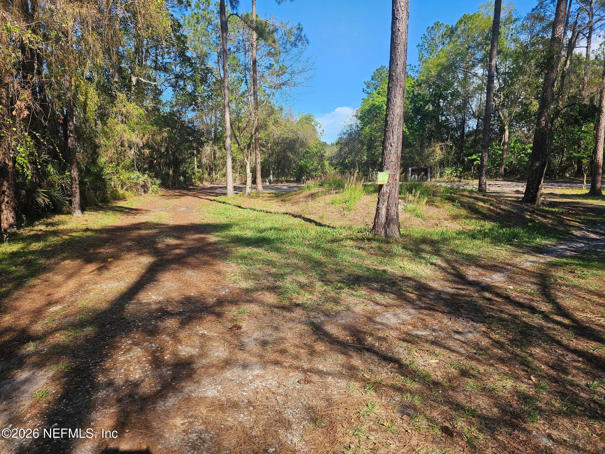 396 Stokes Landing Road Palatka, FL 32177 - Photo 4 of 8 a view of yard