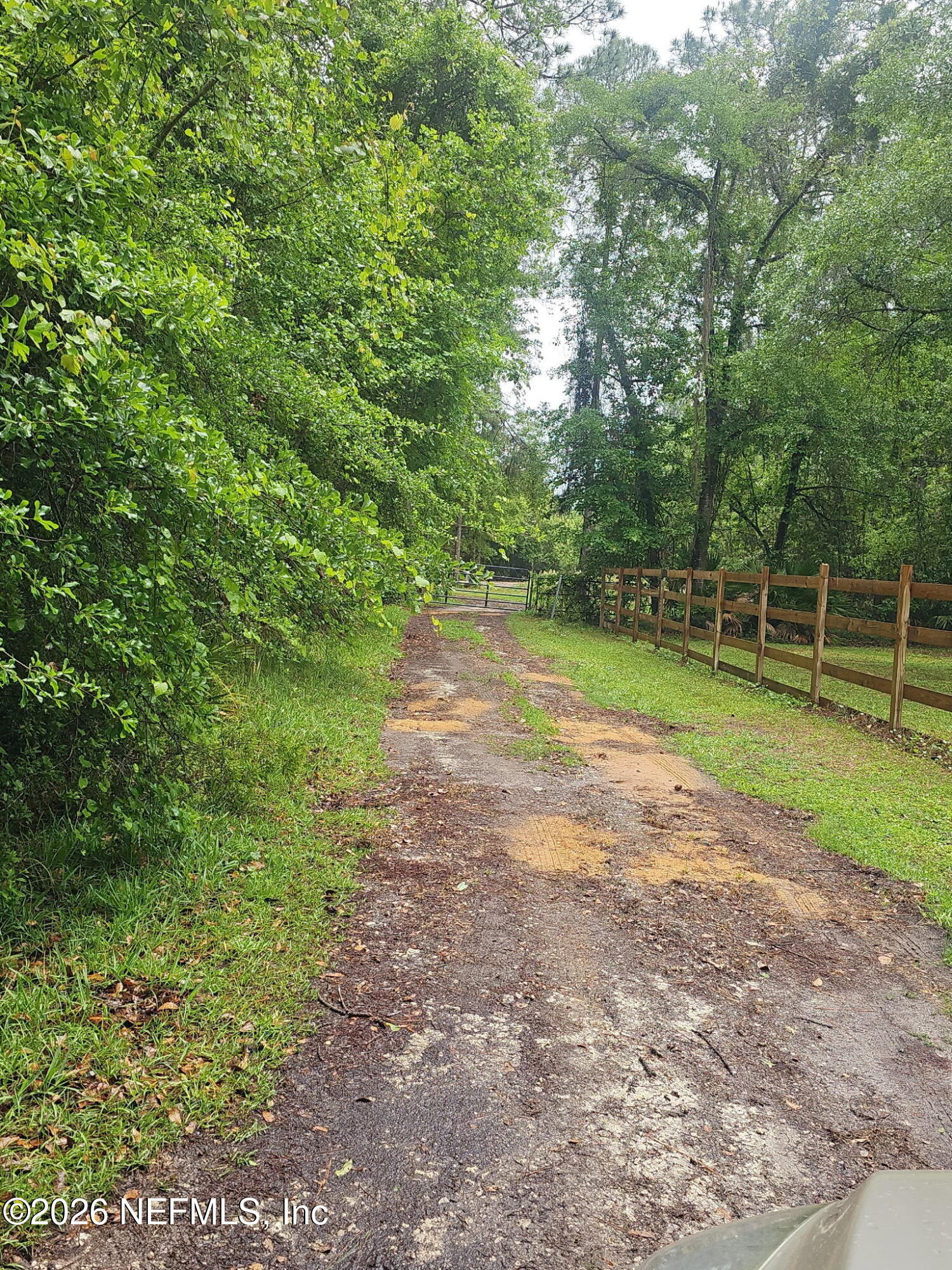 396 Stokes Landing Road Palatka, FL 32177 - Photo 6 of 8 a view of a field with trees in the background