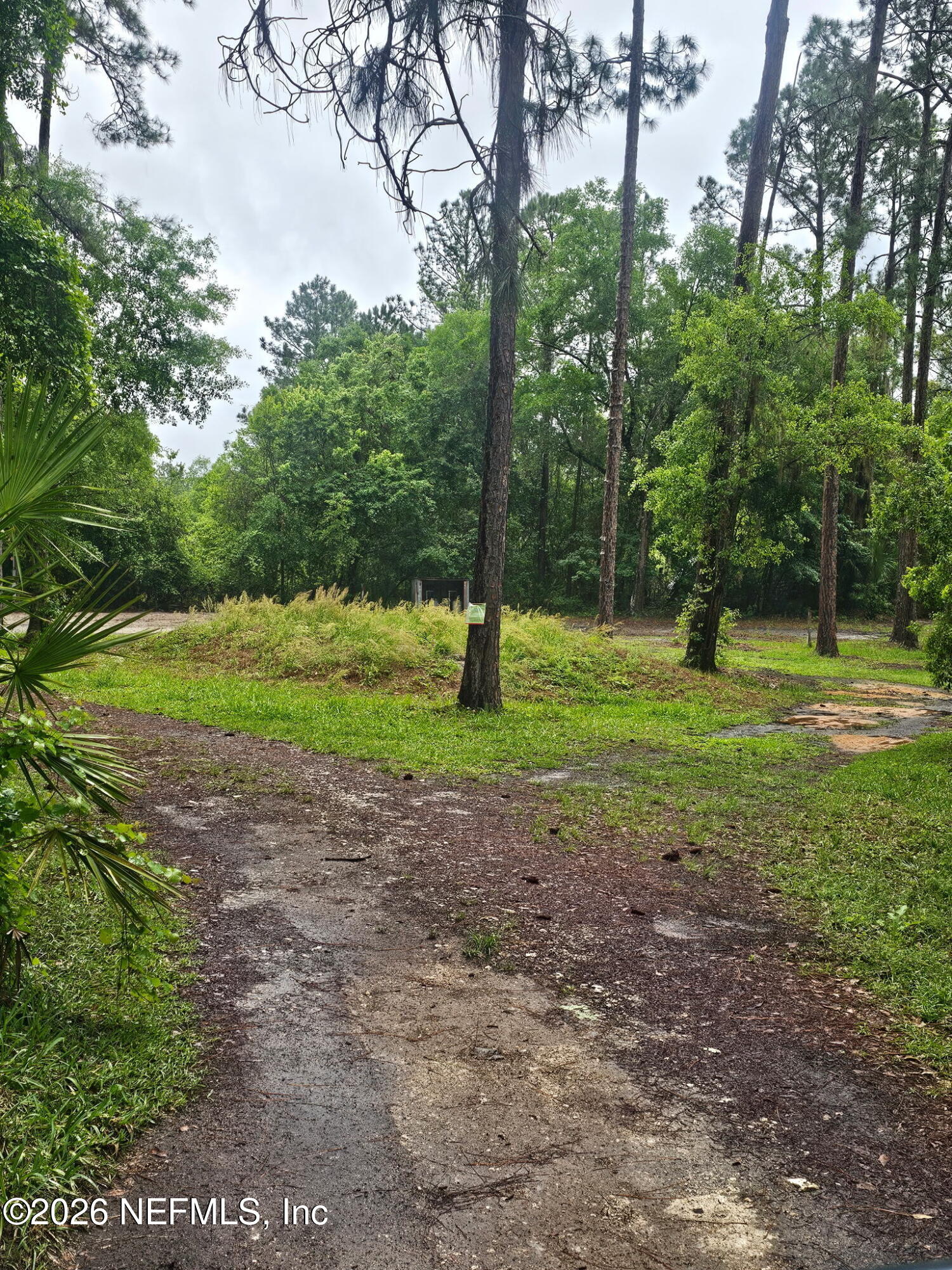 396 Stokes Landing Road Palatka, FL 32177 - Photo 7 of 8 a view of field with tall trees