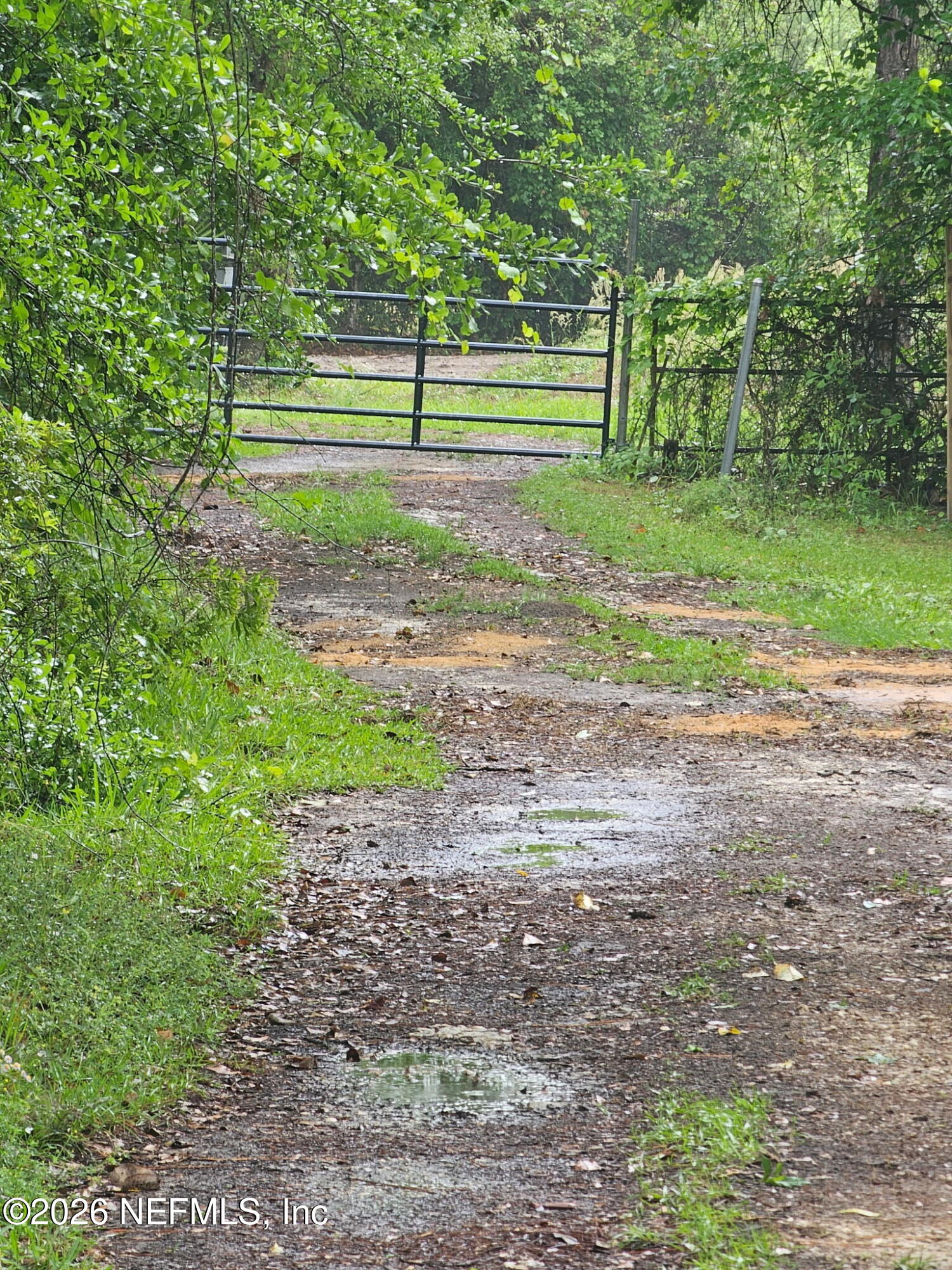 396 Stokes Landing Road Palatka, FL 32177 - Photo 8 of 8 a view of a park