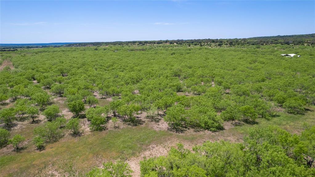 15905 C R 211 Brookesmith, TX 76827 - Photo 7 of 17