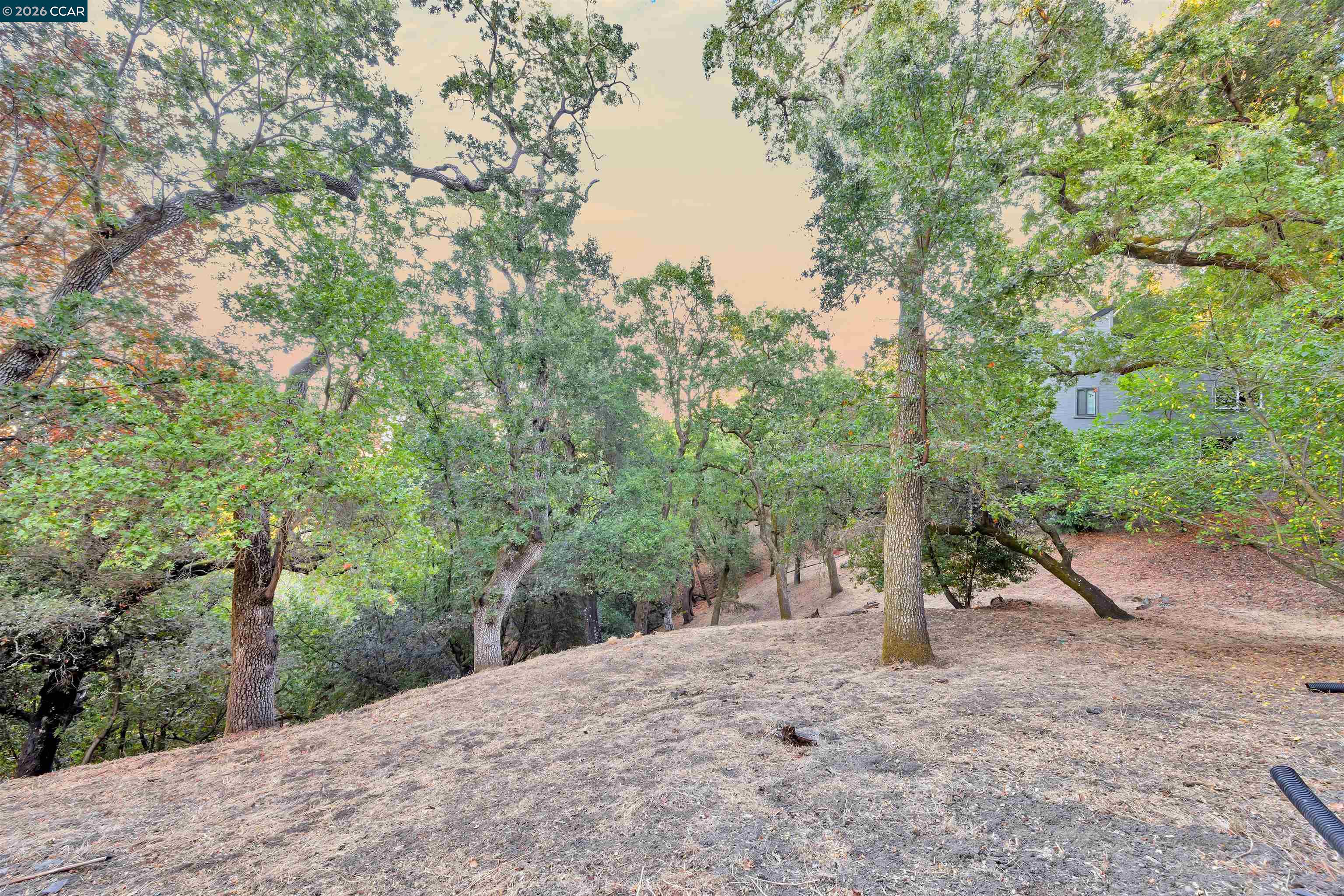 857 Las Trampas Road Lafayette, CA 94549 - Photo 29 of 31 Gallery Image 29