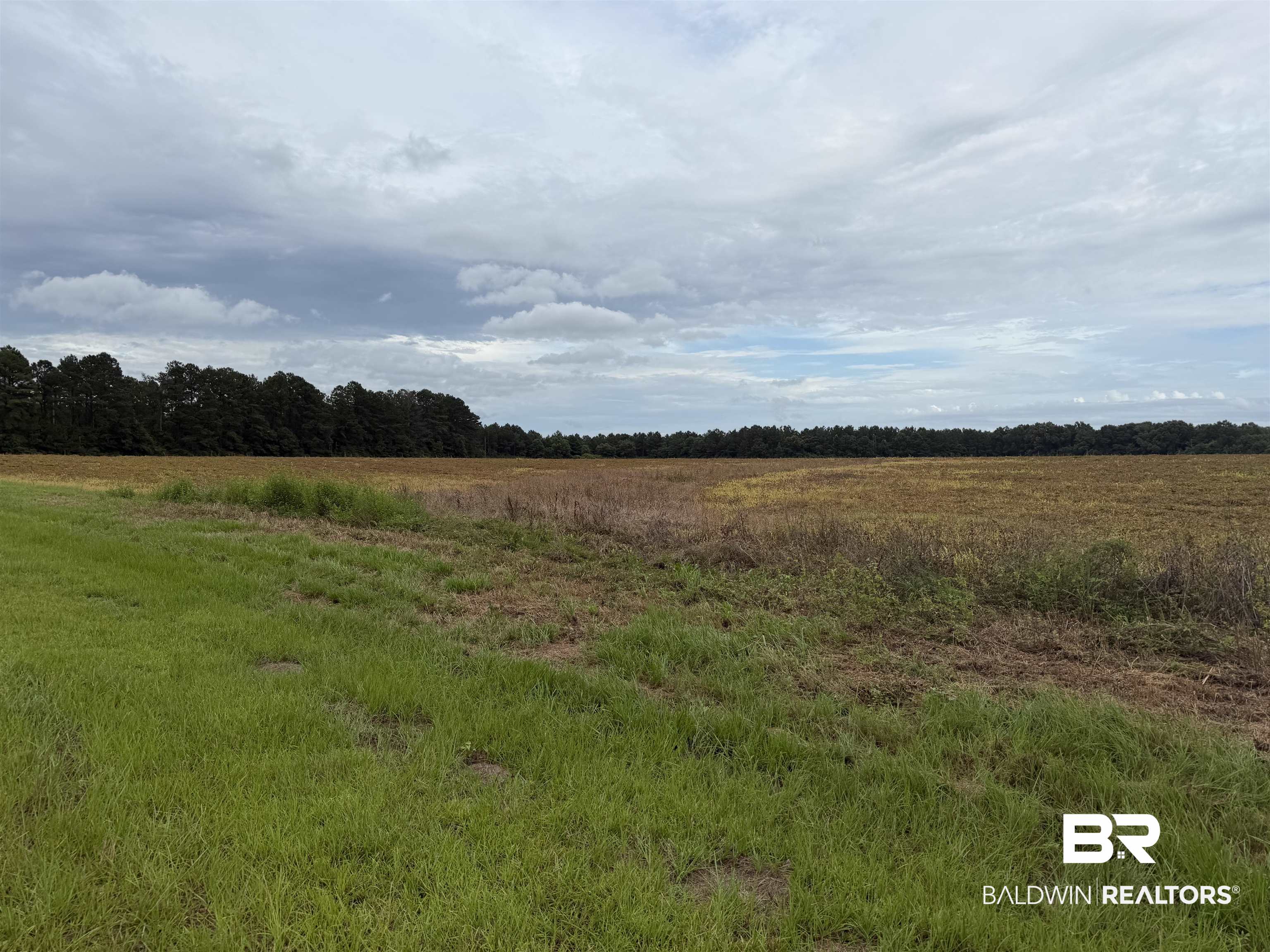 7600 Bratt Road Century, FL 32535 - Photo 2 of 41 Gallery Image 2