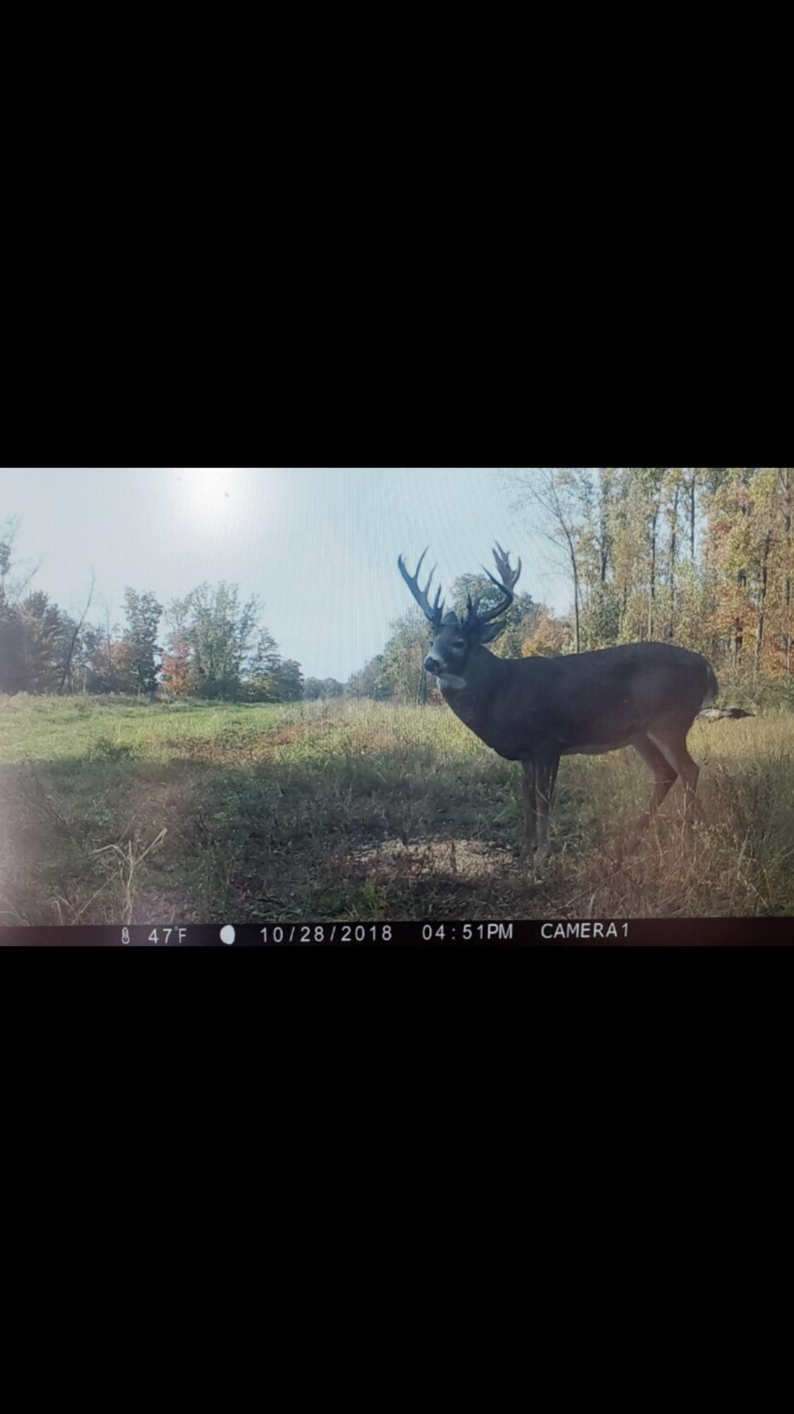 0 Tarkiln Road Southeast Lancaster, OH 43130 - Photo 7 of 10