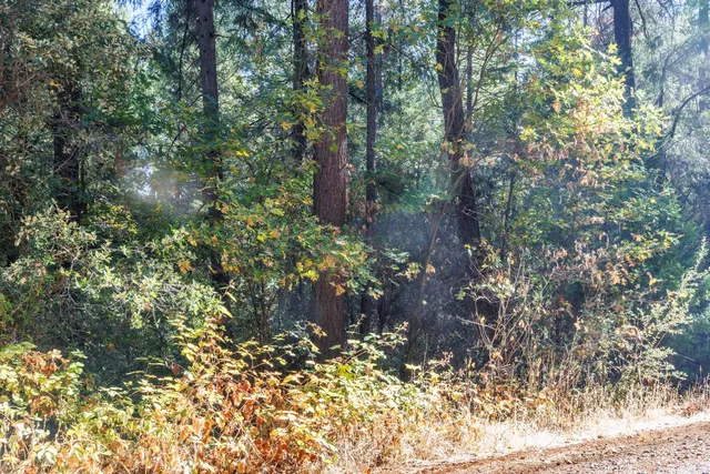 $50,000 | 4293 Glory Hole Drive, Camino, CA 95709