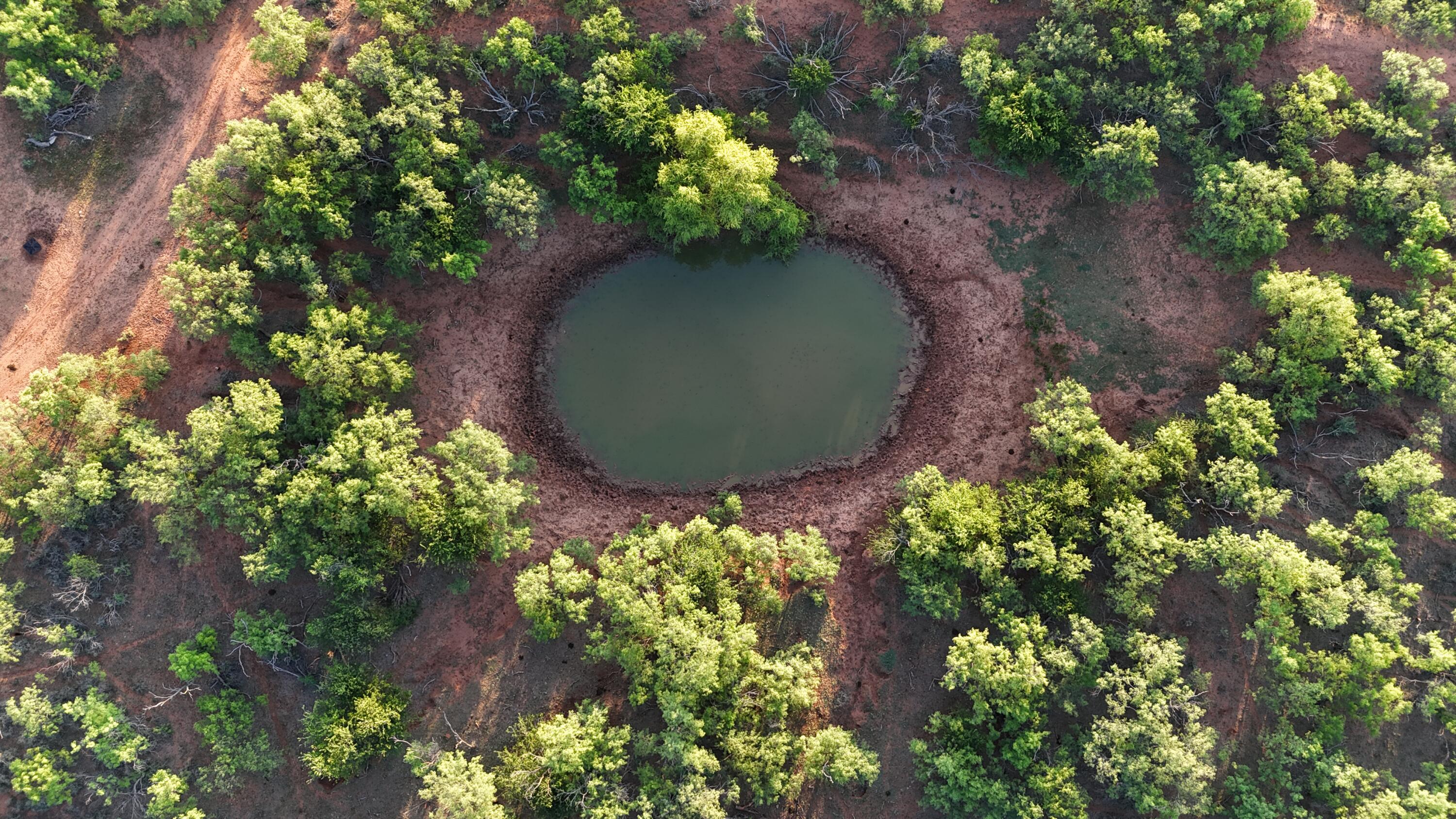 92 Texas Hamlin, TX 79520 - Photo 13 of 63 DJI_20260528072120_0087_D