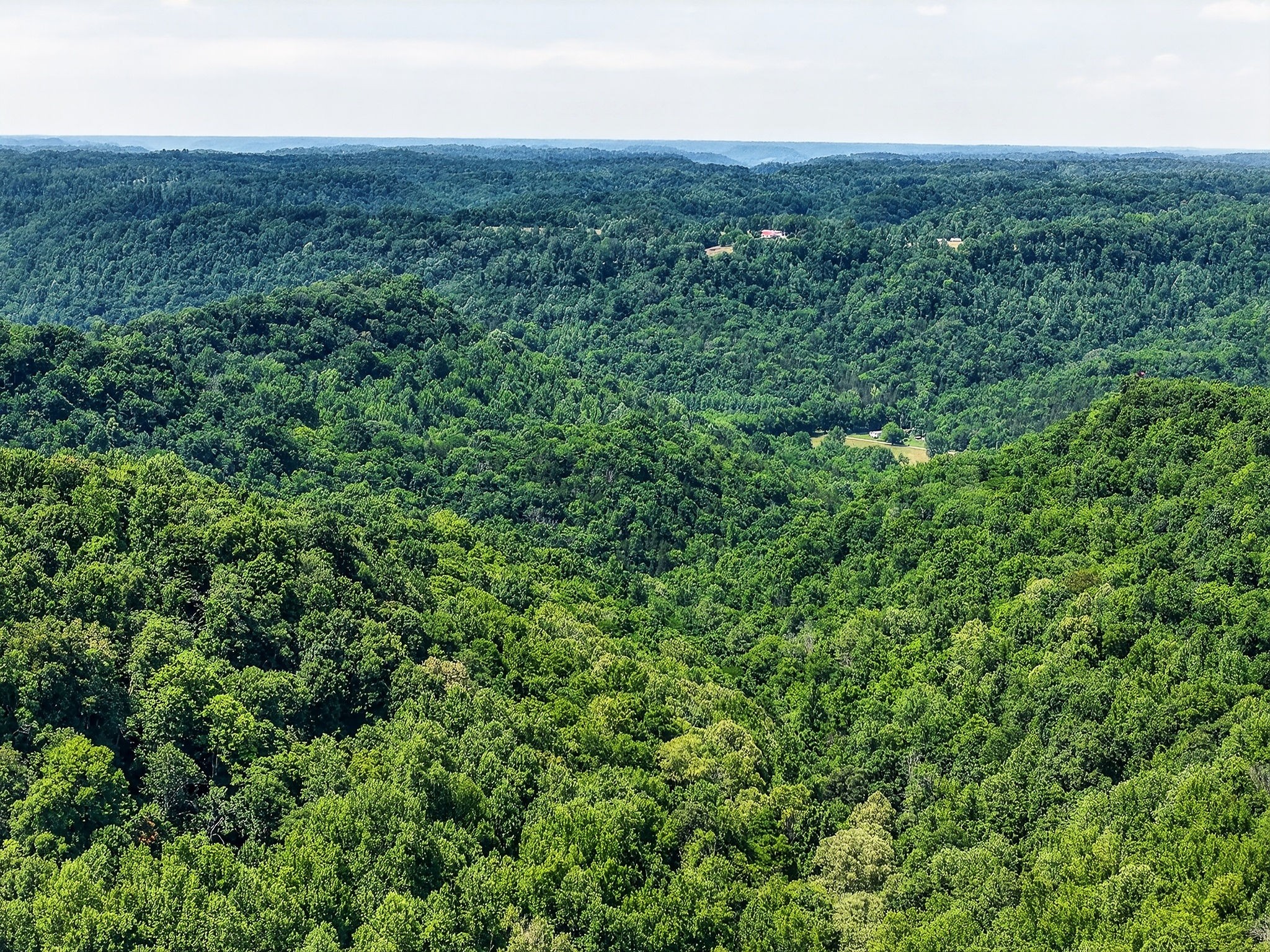 2926 Bryant Ridge Road Baxter, TN 38544 - Photo 46 of 64