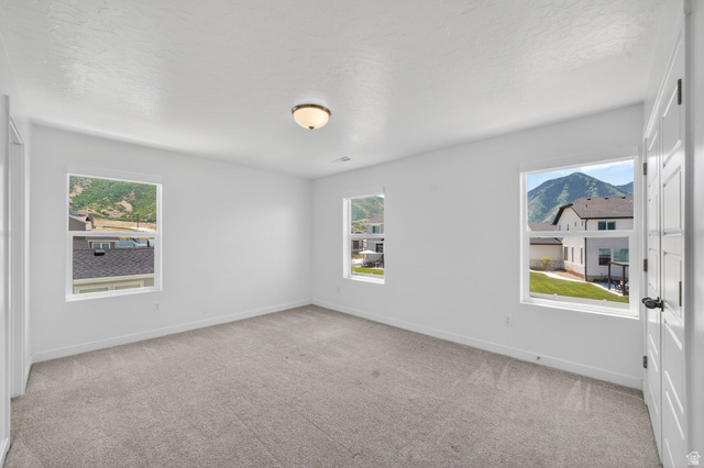 1165 West Union Bench Drive Mapleton, UT 84664 - Photo 34 of 61 Bright room featuring neutral carpet and white walls
