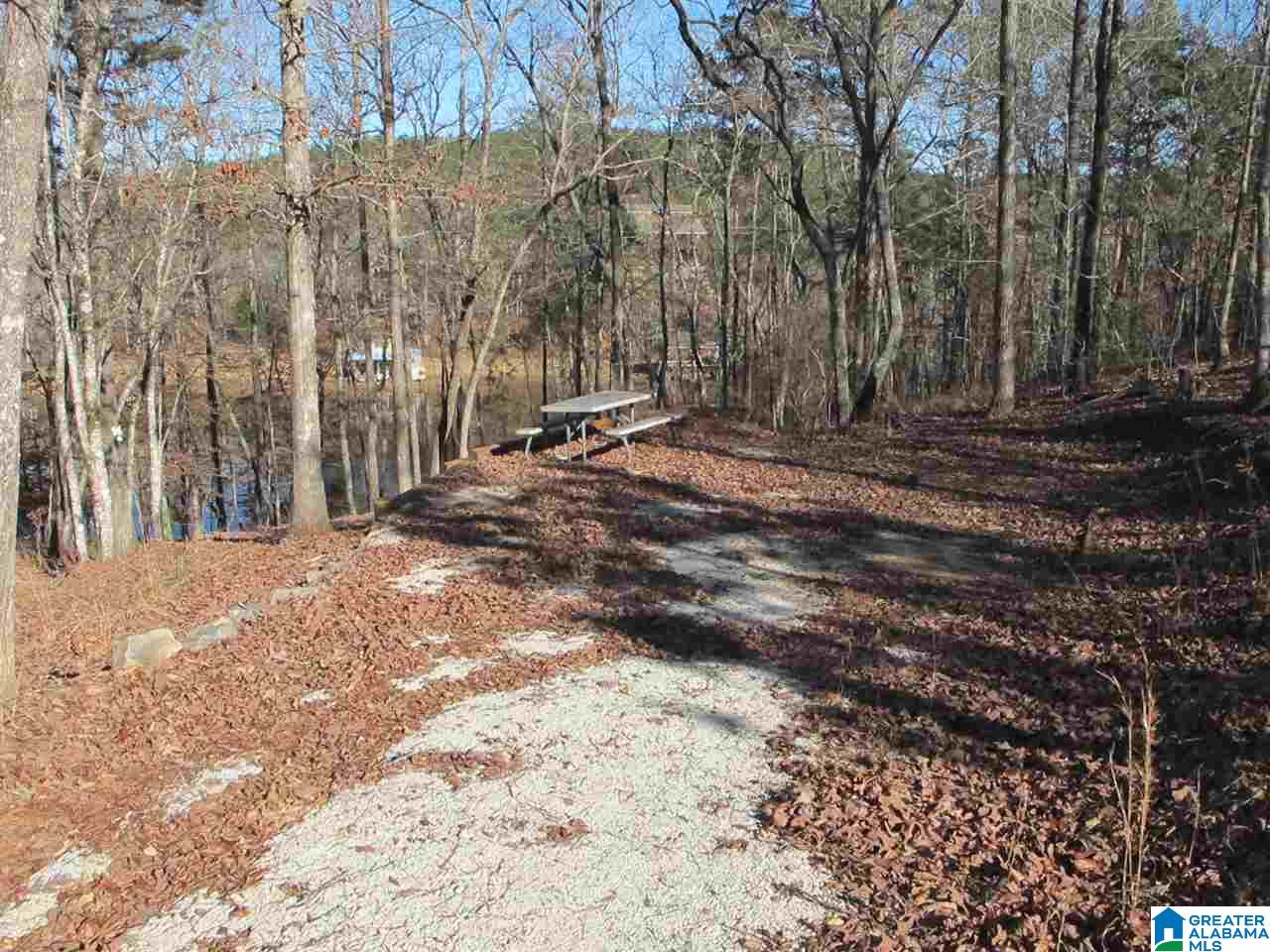 Dogwood Ridge, Unit 20 Wedowee, AL 36278 - Photo 3 of 7