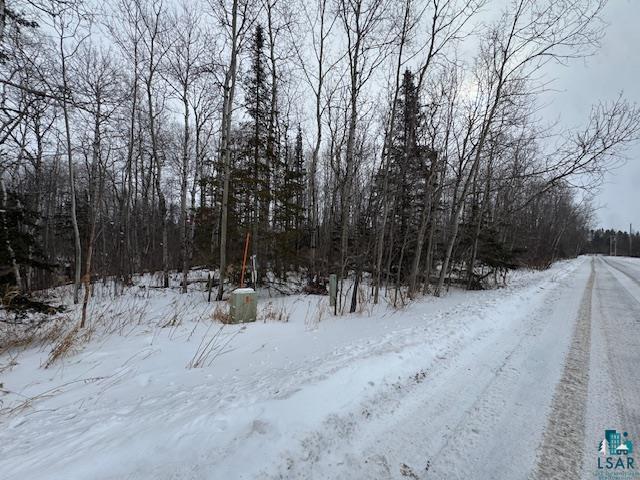 Xxxx McDonnell Road Duluth, MN 55804 - Photo 11 of 14