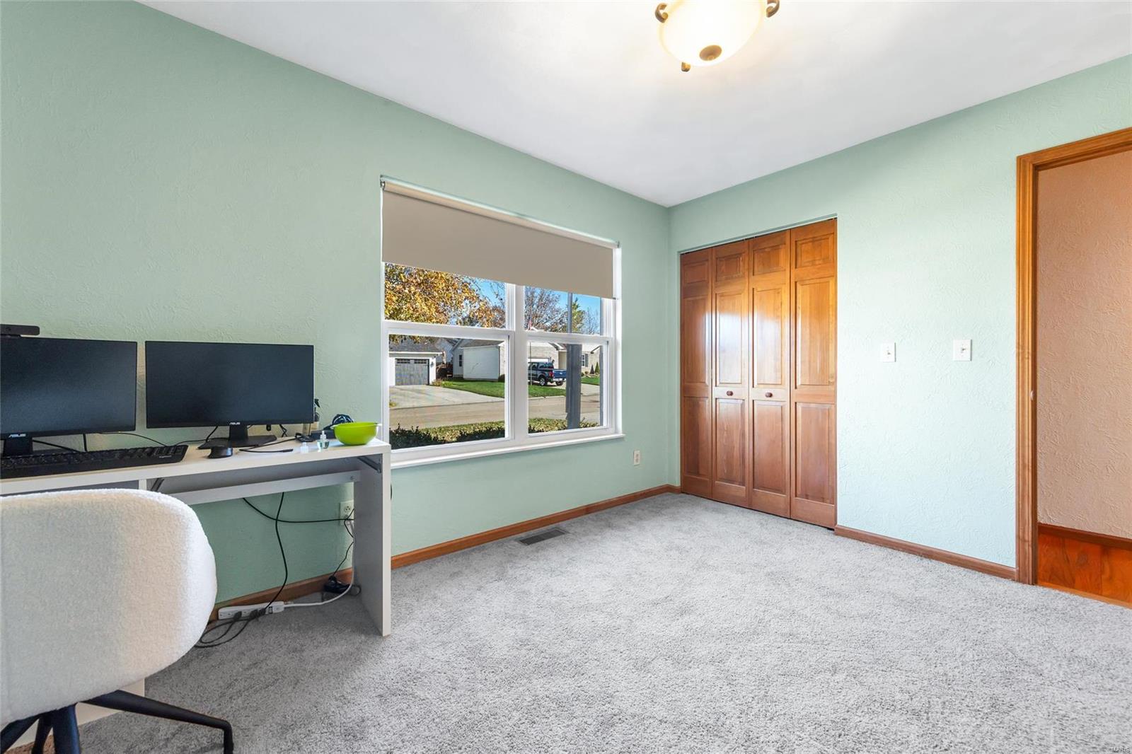 466 Mary Drive Waterloo, IL 62298 - Photo 24 of 44