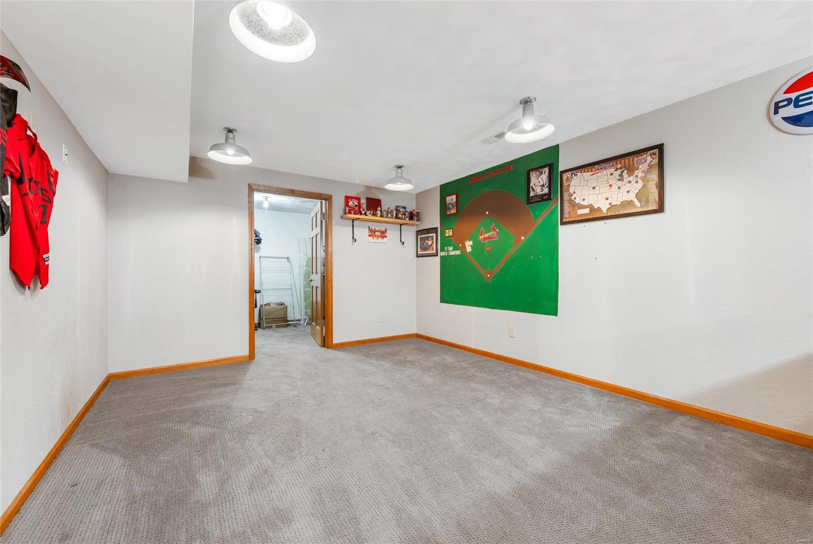 466 Mary Drive Waterloo, IL 62298 - Photo 29 of 44