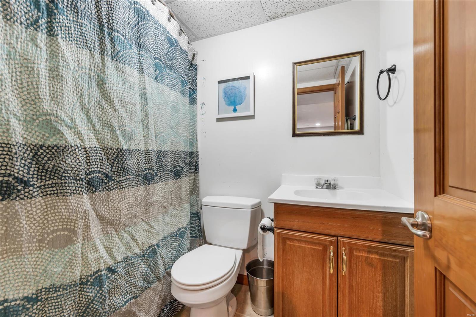 466 Mary Drive Waterloo, IL 62298 - Photo 34 of 44