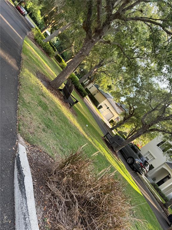 1115 Damask Street Celebration, FL 34747 - Photo 17 of 17 a view of a backyard with a area