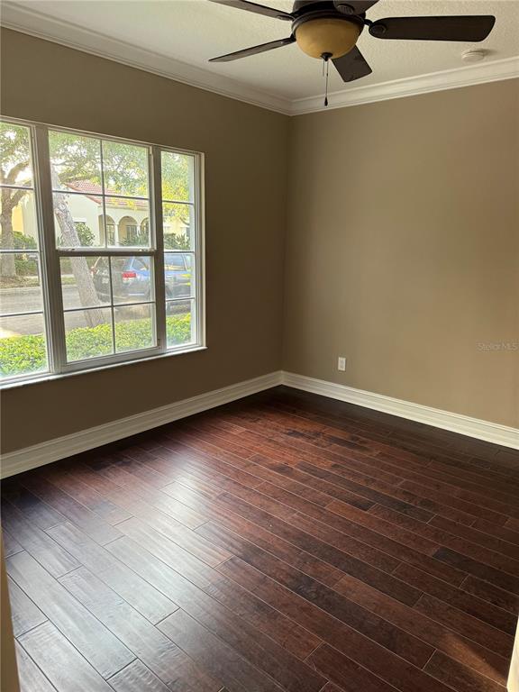1115 Damask Street Celebration, FL 34747 - Photo 4 of 17 an empty room with wooden floor and windows