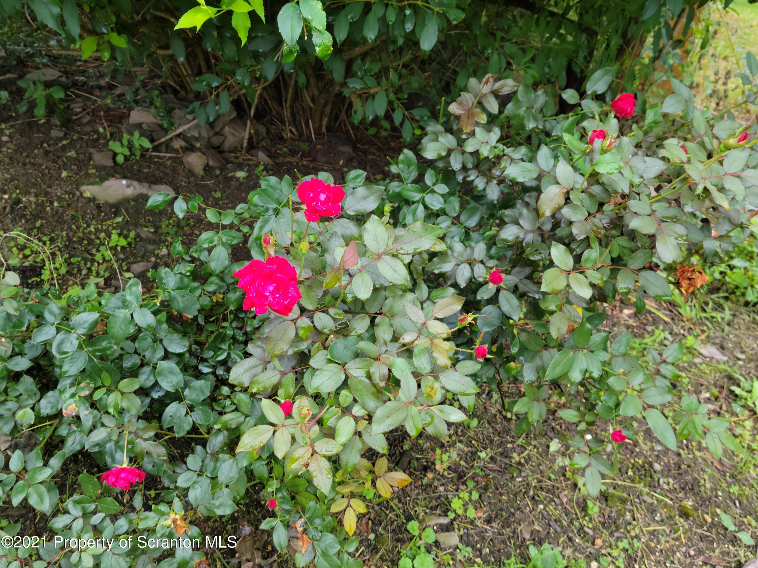 139 Rabbitt Hollow Road Meshoppen, PA 18630 - Photo 8 of 55