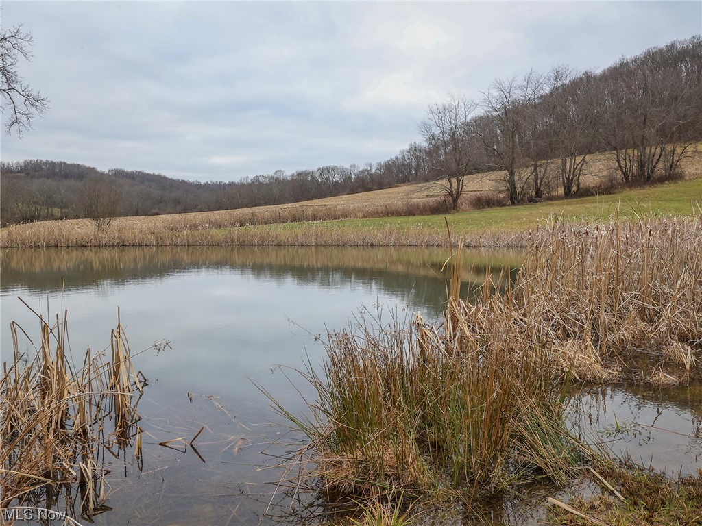 12432 Glasgow Road Southwest Port Washington, OH 43837 - Photo 26 of 31 View of water feature