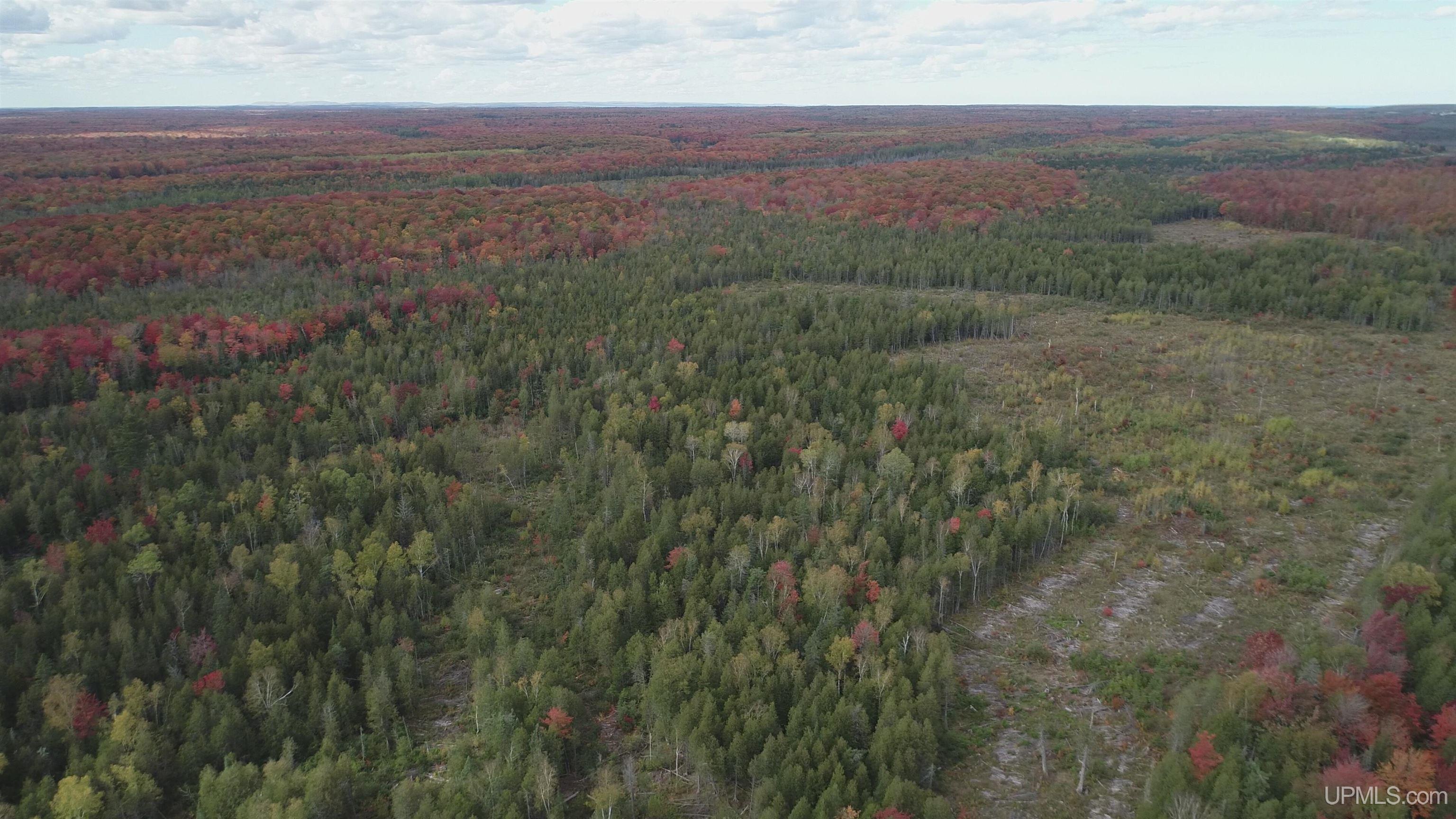 327 Rd Rumely Mi 49826 Road Skandia, MI 49885 - Photo 17 of 23