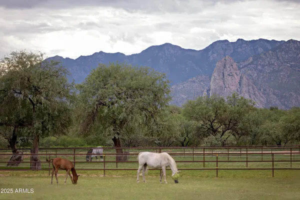 $4,500,000 | 3155 West Elephant Head Road, Amado, AZ 85645