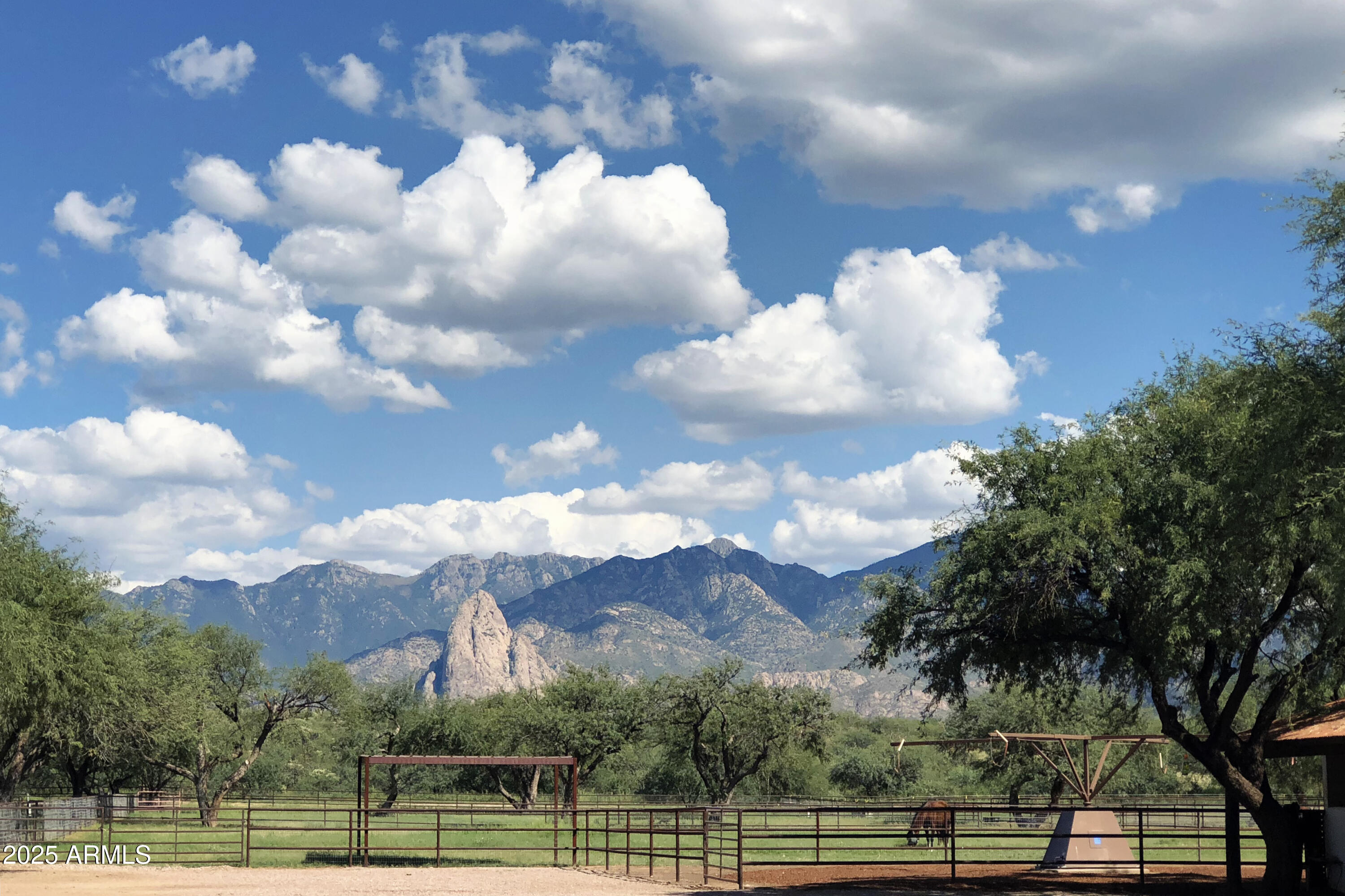 3155 West Elephant Head Road Amado, AZ 85645 - Photo 11 of 79 Elephant HeadView_1945