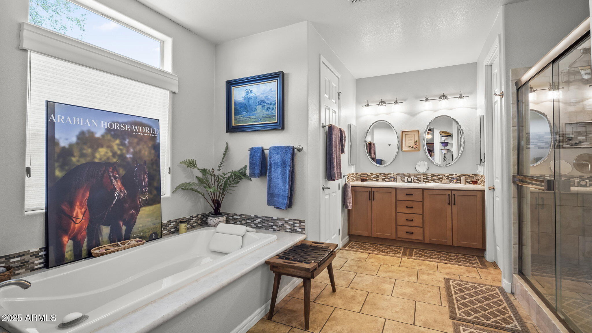 3155 West Elephant Head Road Amado, AZ 85645 - Photo 18 of 79 a bathroom with a sink a mirror and a shower