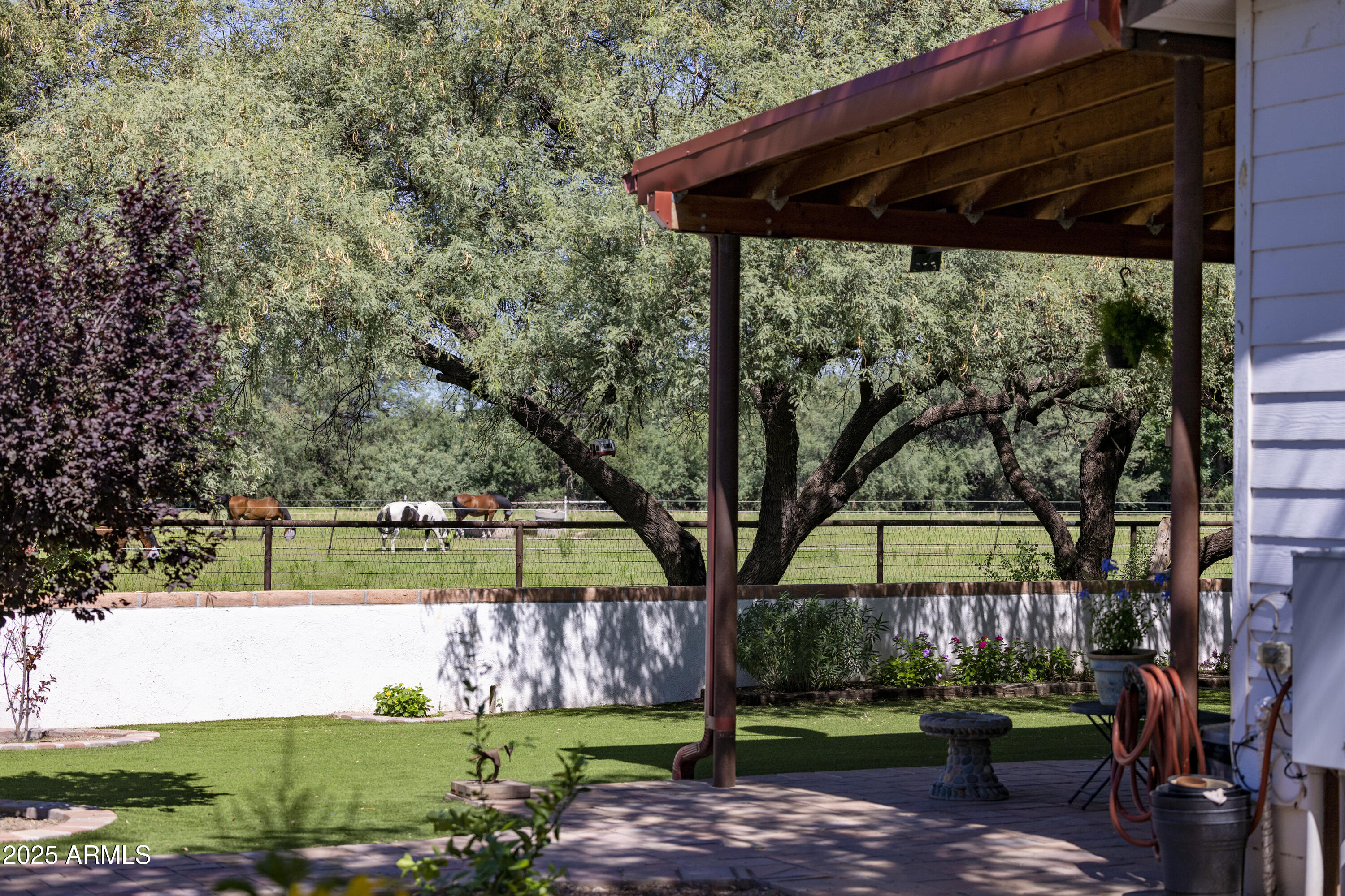 3155 West Elephant Head Road Amado, AZ 85645 - Photo 25 of 79 RS_MainHouse_Backyard_0483