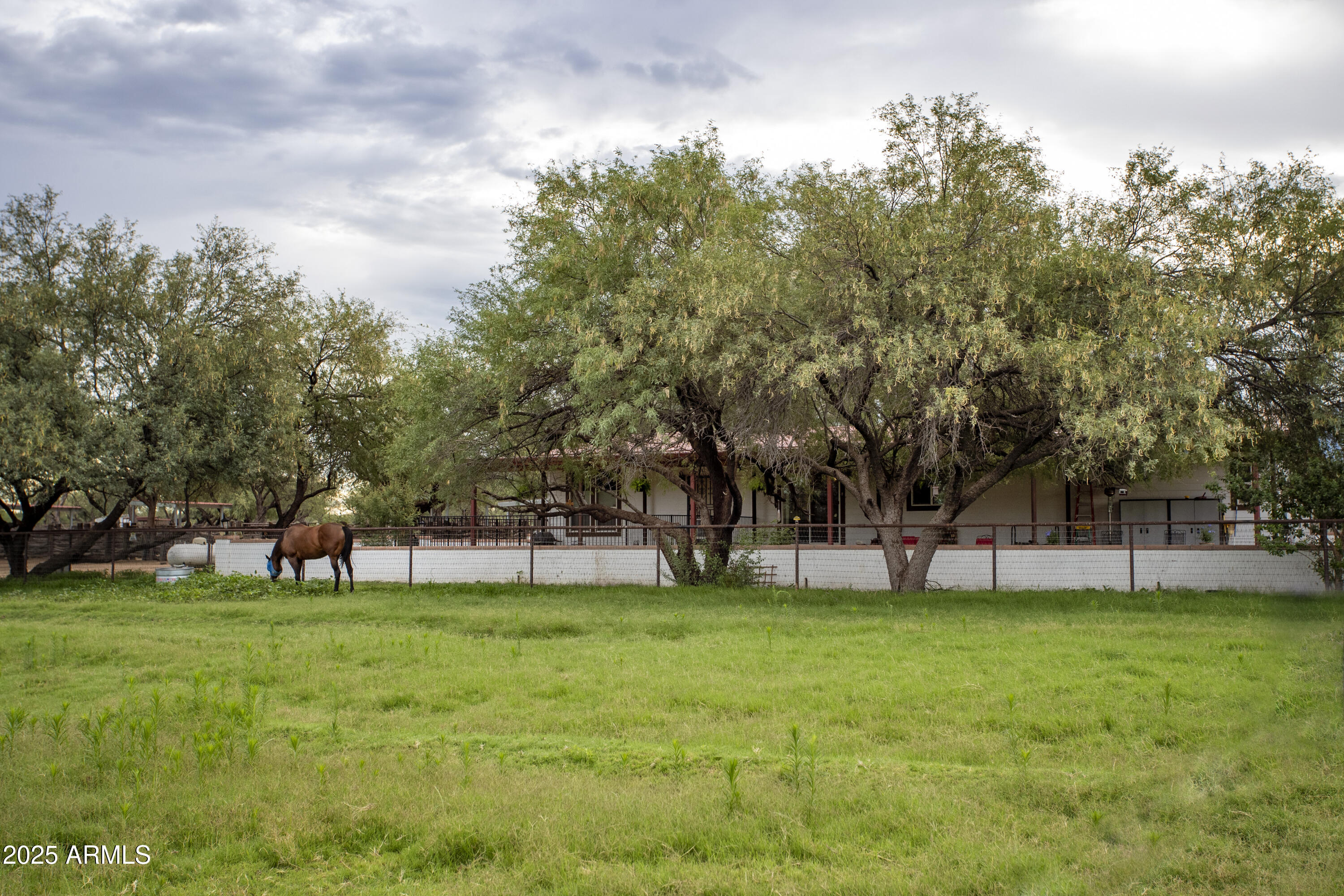3155 West Elephant Head Road Amado, AZ 85645 - Photo 40 of 79 a view of field with trees in the background