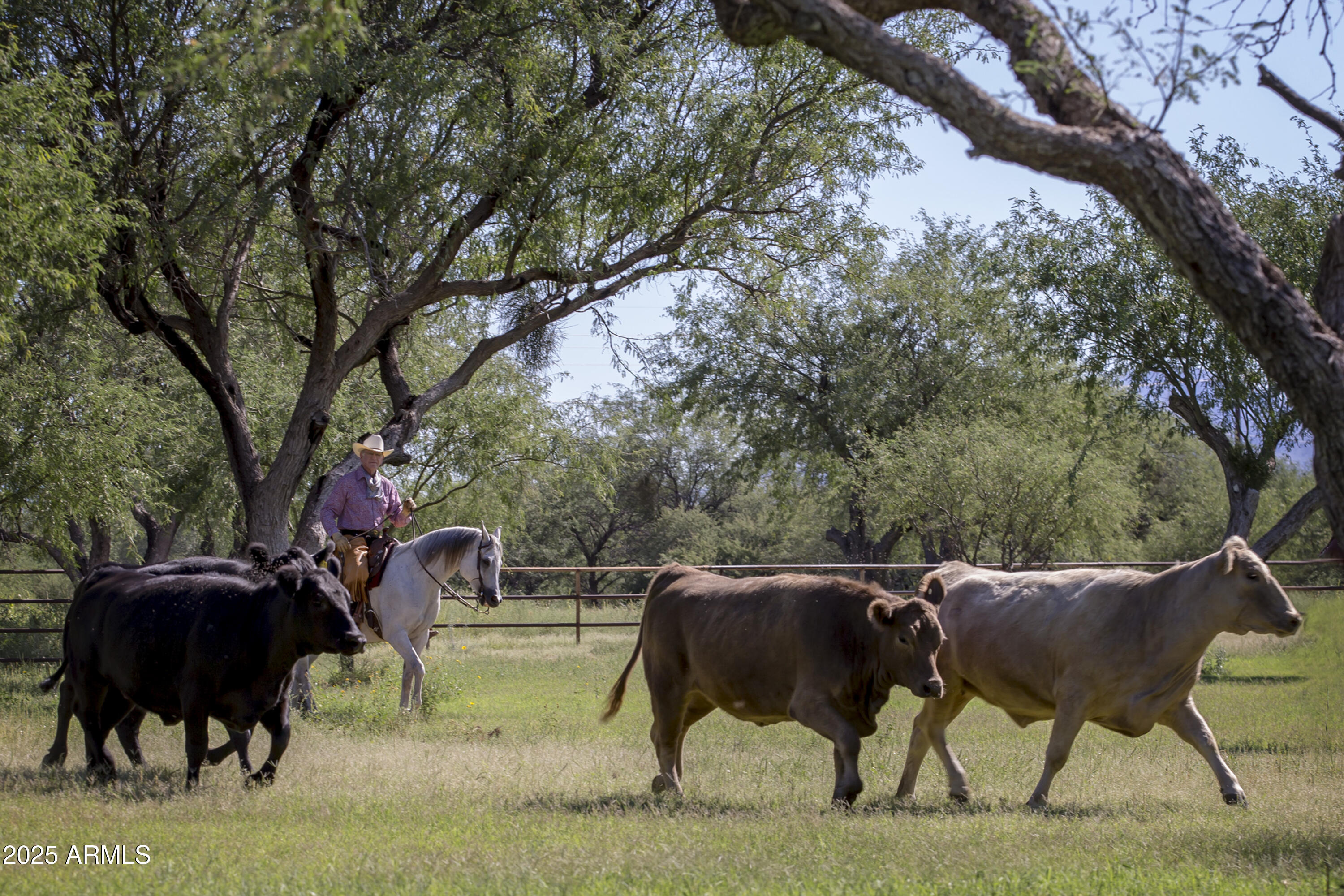 3155 West Elephant Head Road Amado, AZ 85645 - Photo 4 of 79 6,000 acres lease included in Price