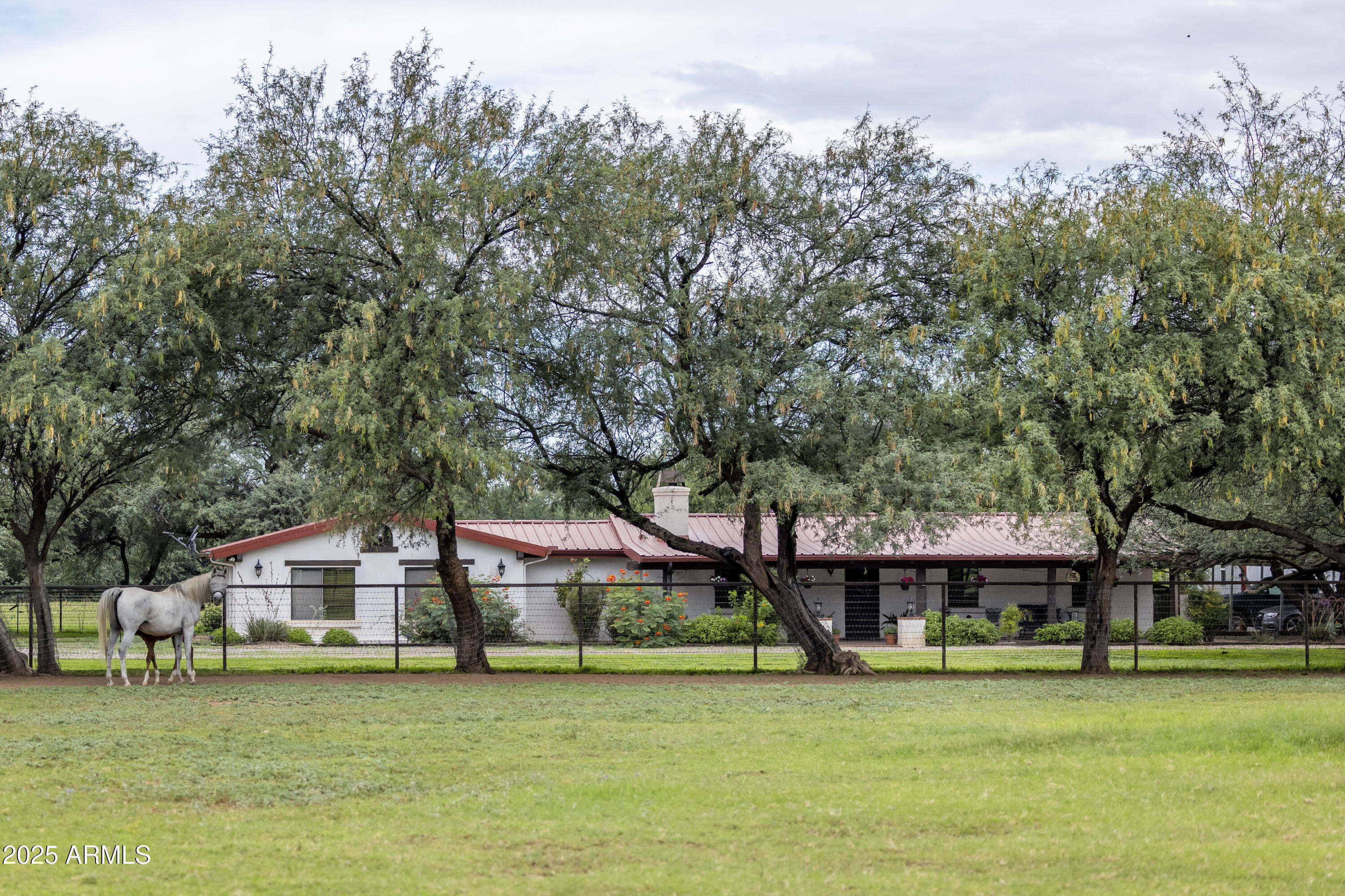 3155 West Elephant Head Road Amado, AZ 85645 - Photo 4 of 79 RS_TrainersHouse_1788