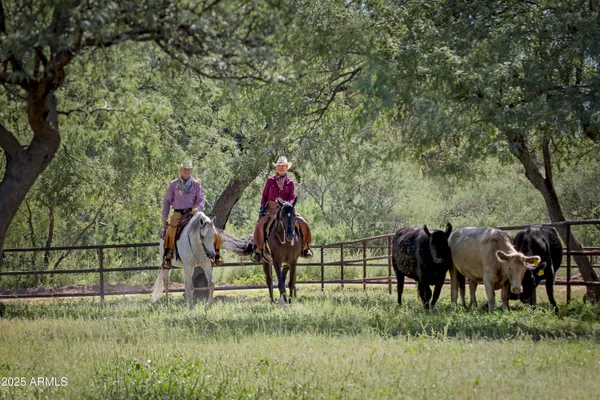 $4,500,000 | 3155 West Elephant Head Road, Amado, AZ 85645