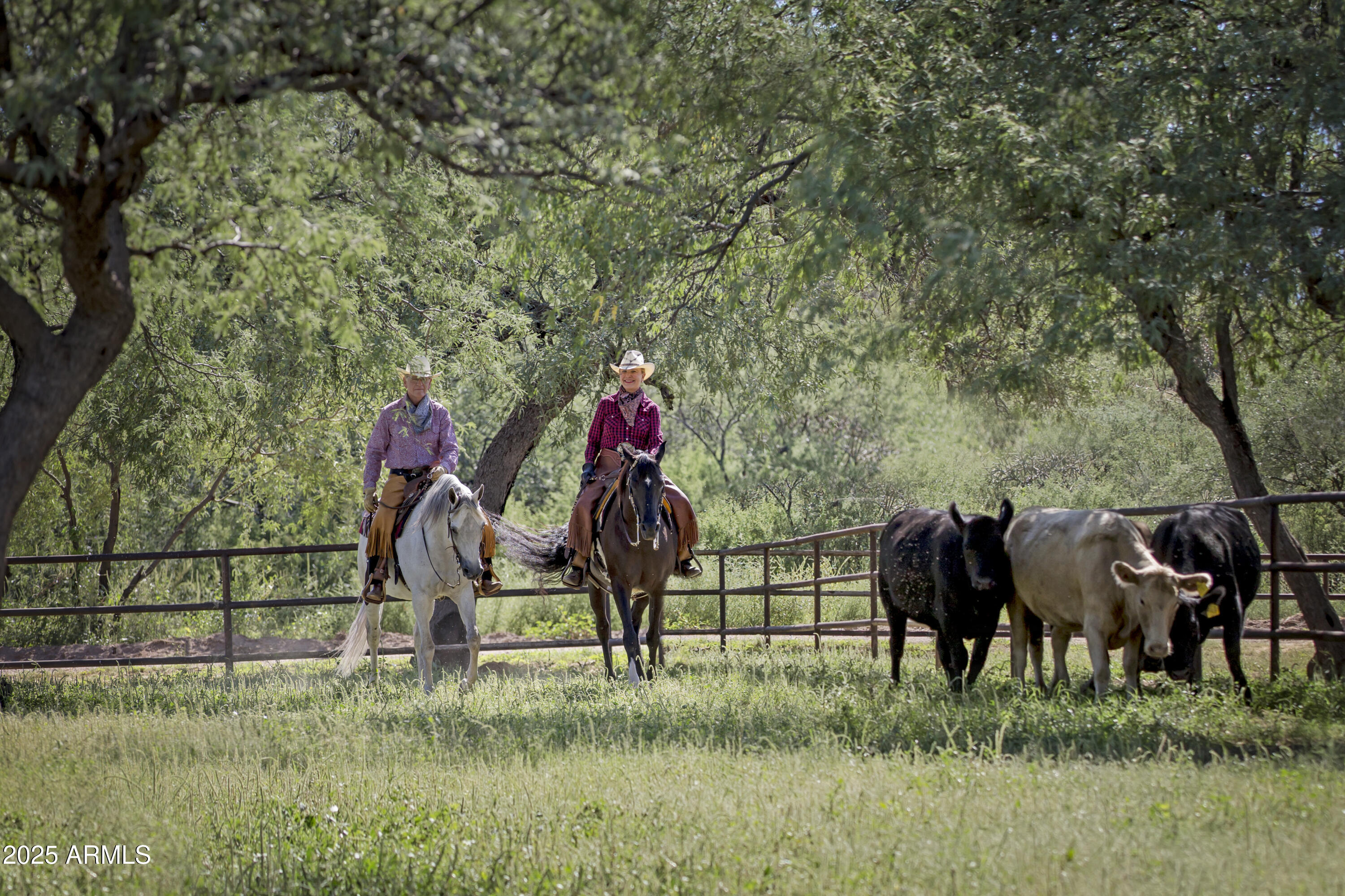 3155 West Elephant Head Road Amado, AZ 85645 - Photo 42 of 79 RS_CowWork_6159
