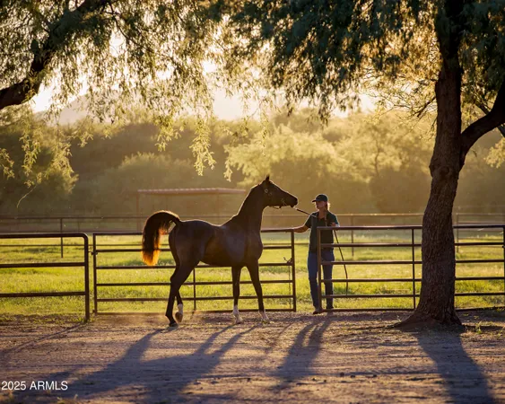 $4,500,000 | 3155 West Elephant Head Road, Amado, AZ 85645
