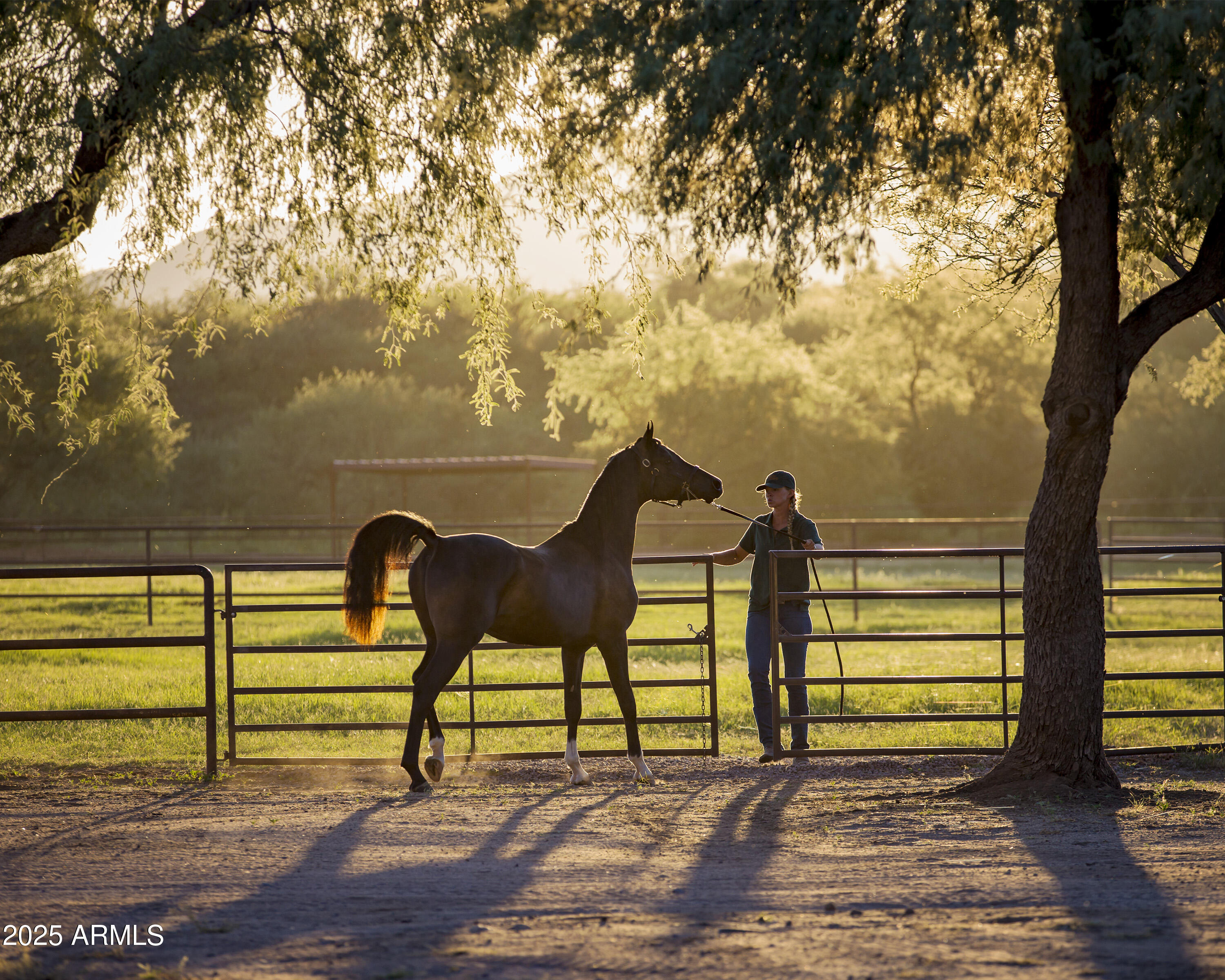 3155 West Elephant Head Road Amado, AZ 85645 - Photo 45 of 79 RS_Sunrise_3986