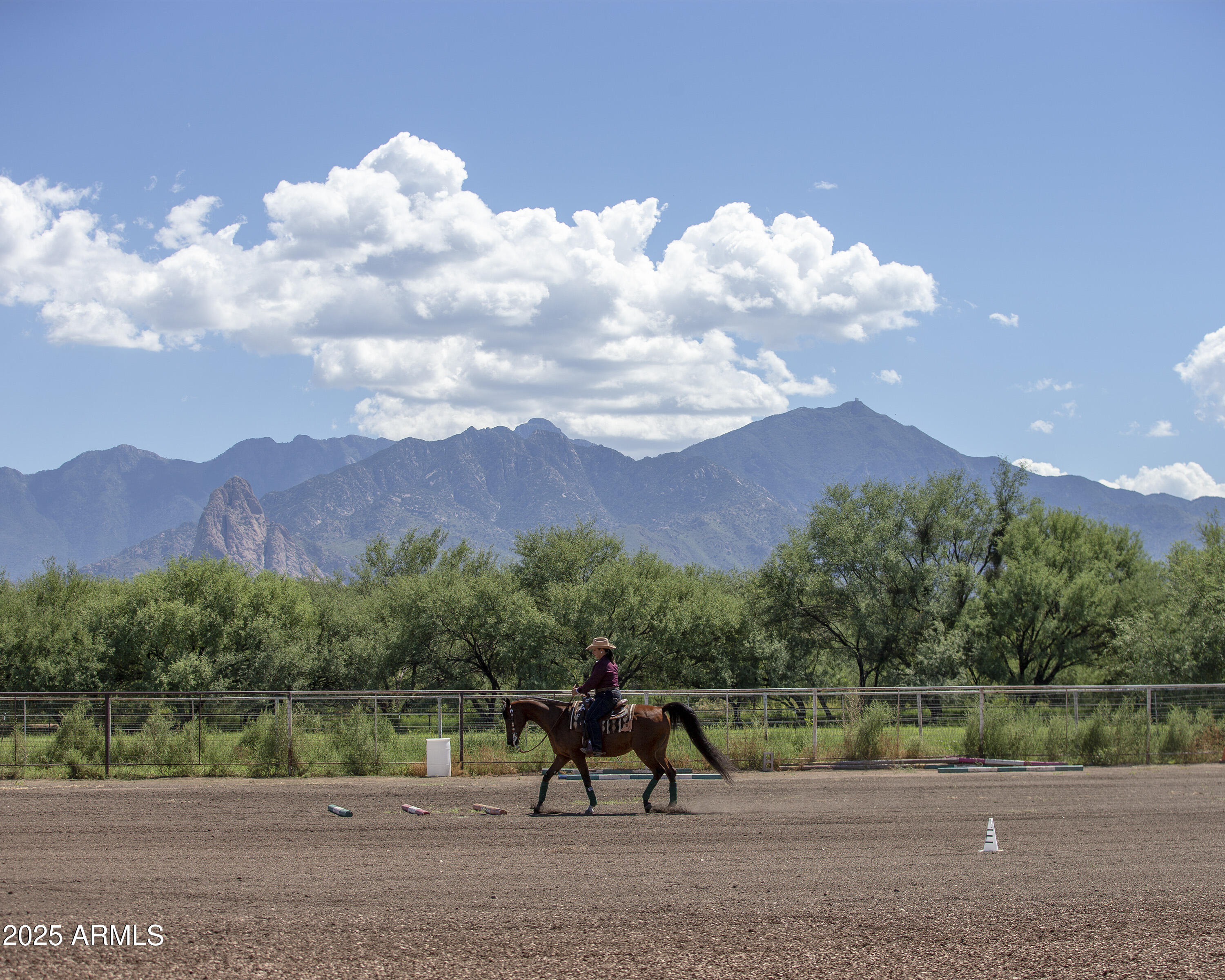 3155 West Elephant Head Road Amado, AZ 85645 - Photo 46 of 79 RS_Trail_2901