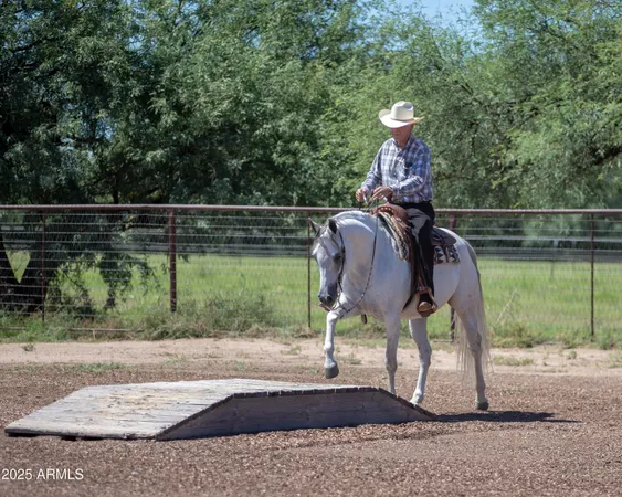 $4,500,000 | 3155 West Elephant Head Road, Amado, AZ 85645