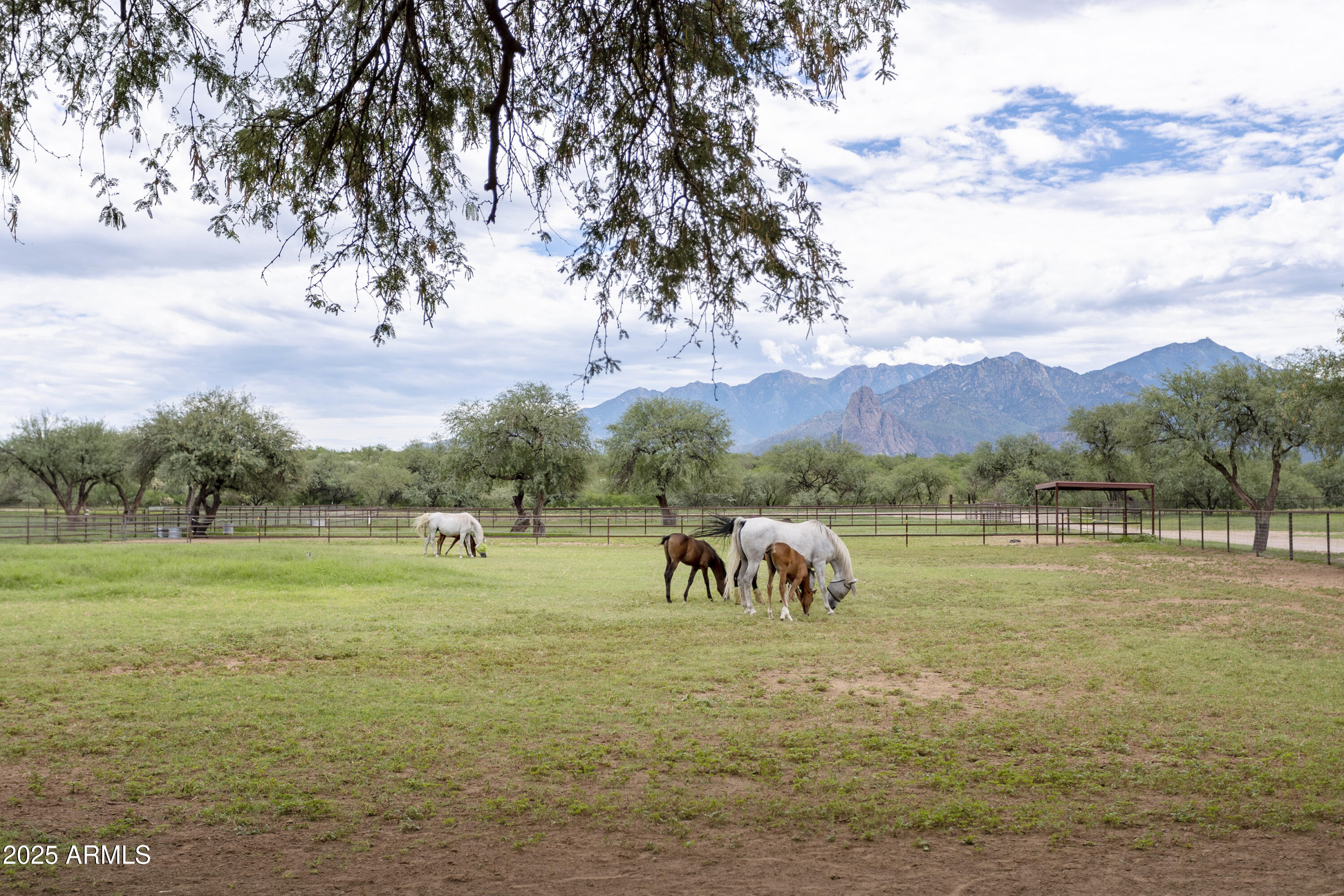 3155 West Elephant Head Road Amado, AZ 85645 - Photo 57 of 79 a view of outdoor space with ocean view