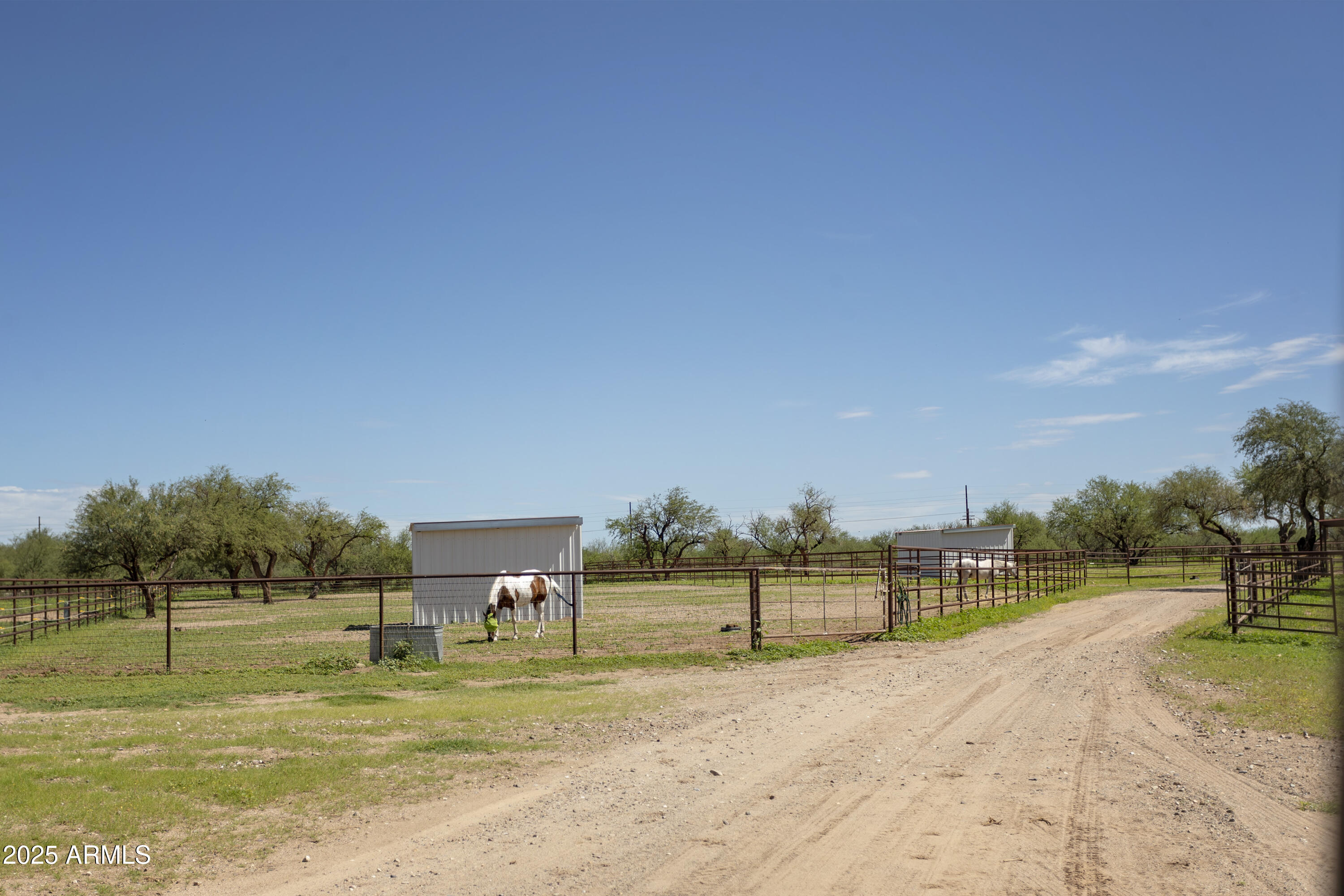 3155 West Elephant Head Road Amado, AZ 85645 - Photo 60 of 79 RS_PipeCorrals_0078
