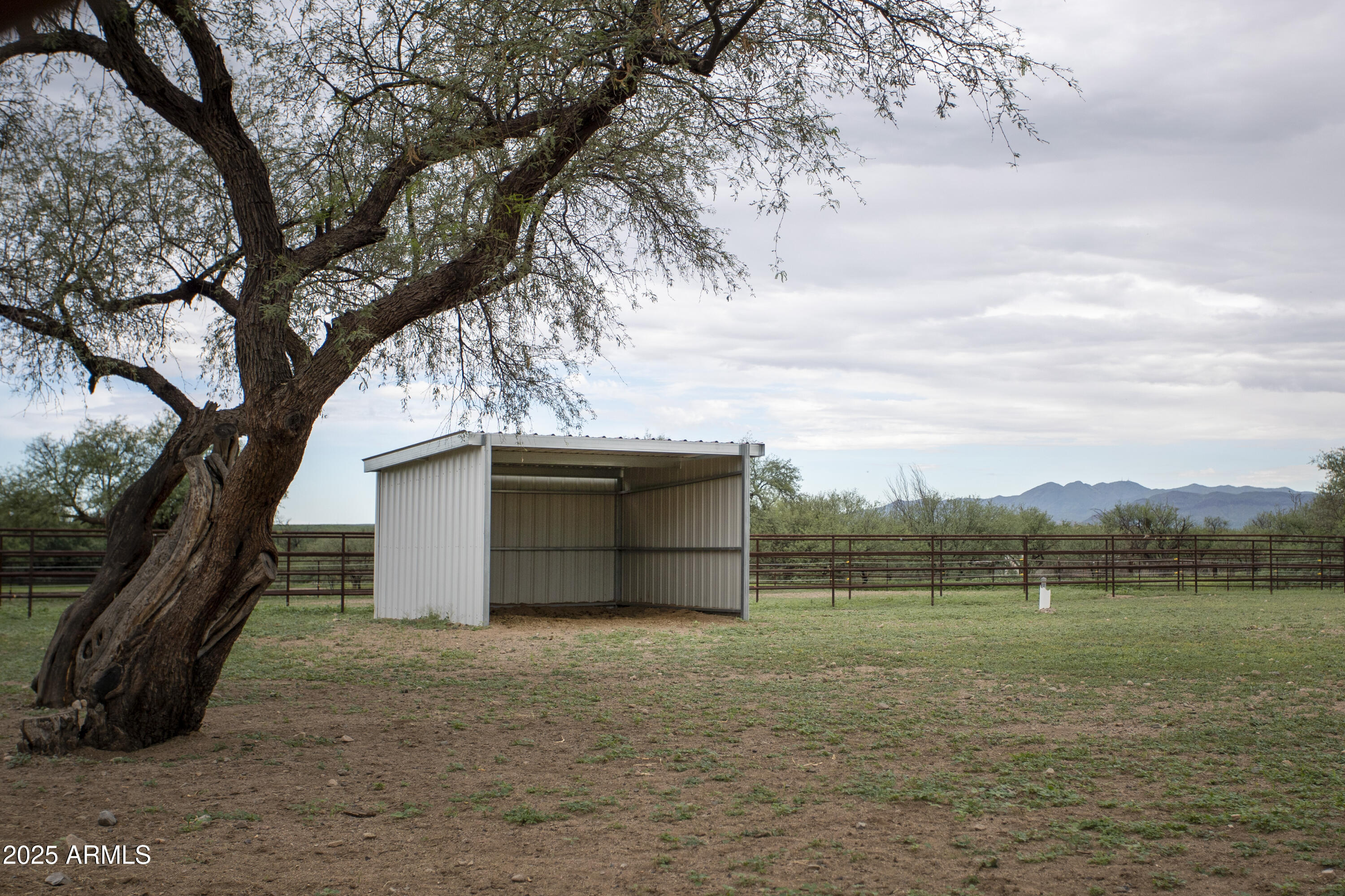 3155 West Elephant Head Road Amado, AZ 85645 - Photo 61 of 79 RS_PipeCorrals_0380