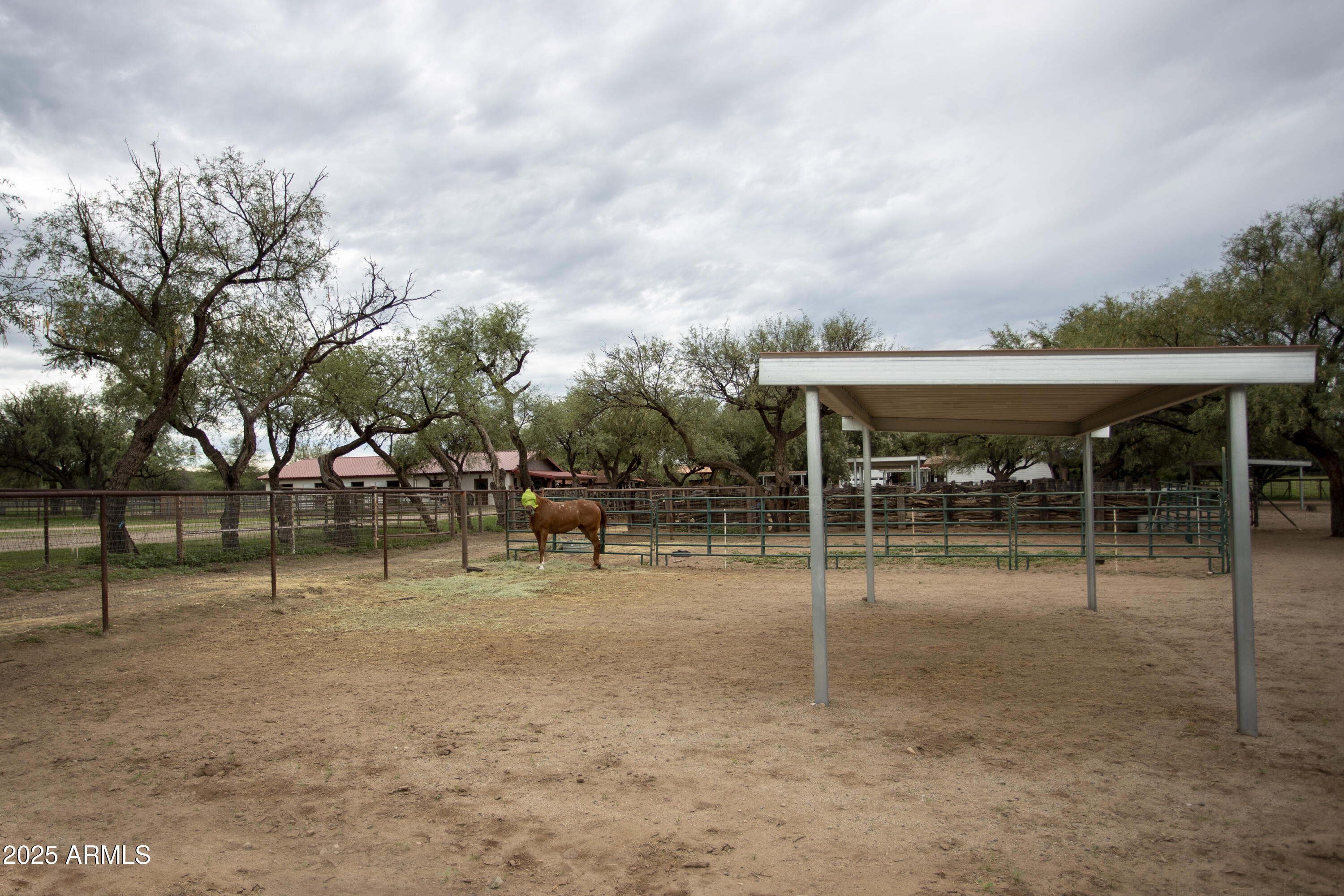 3155 West Elephant Head Road Amado, AZ 85645 - Photo 62 of 79 a backyard of a house with lots of green space and trampoline