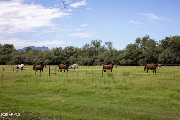 $4,500,000 | 3155 West Elephant Head Road, Amado, AZ 85645