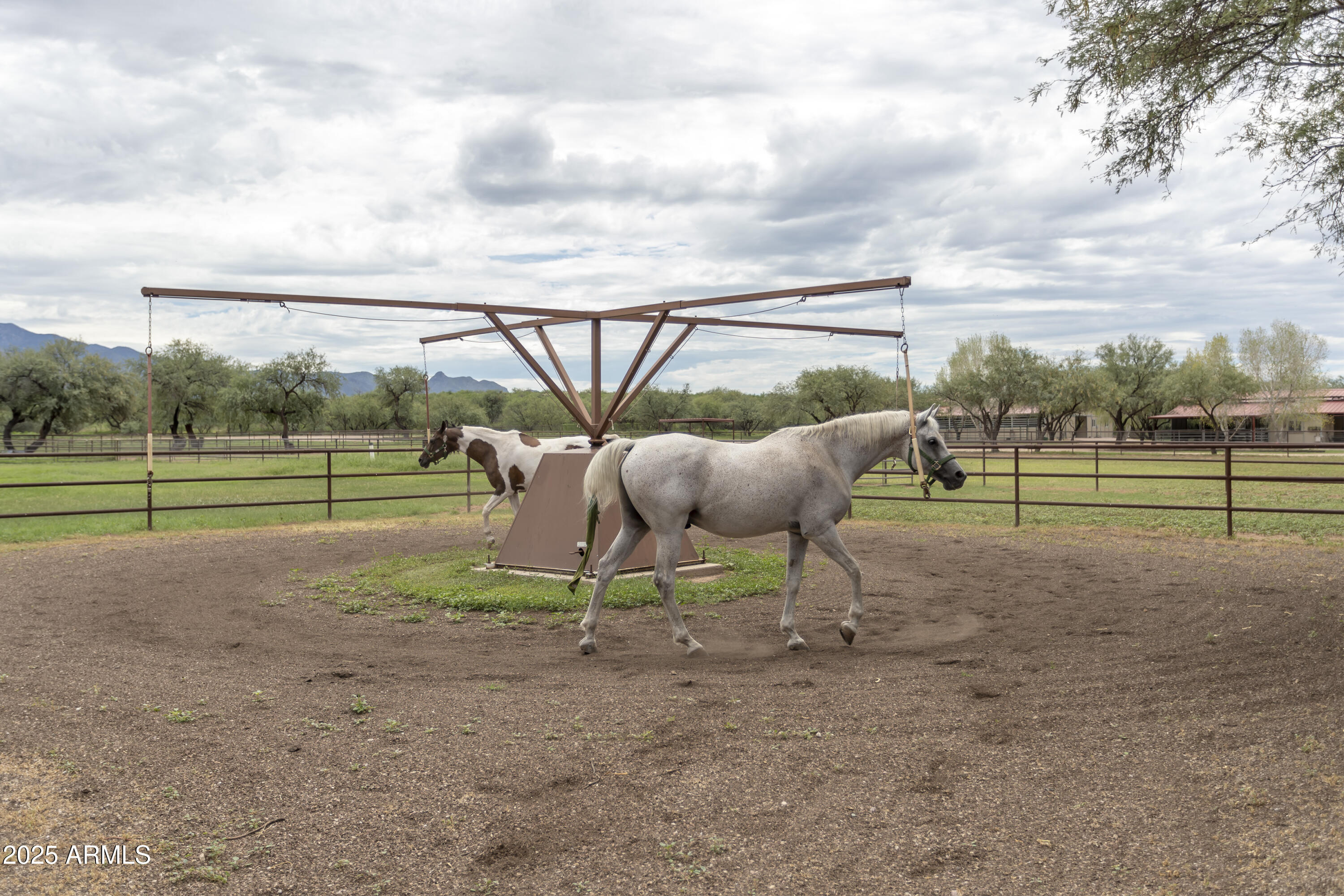 3155 West Elephant Head Road Amado, AZ 85645 - Photo 66 of 79 RS_Hotwalker_0466