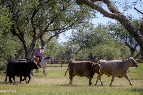 $4,500,000 | 3155 West Elephant Head Road, Amado, AZ 85645