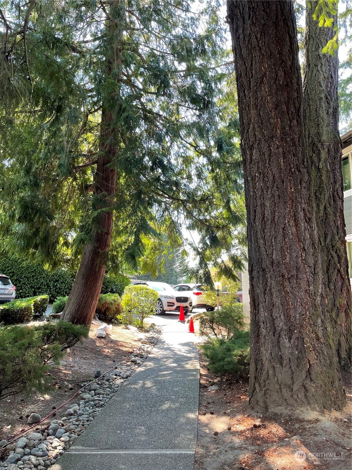 12107 Bel-Red Road, Unit D204 Bellevue, WA 98005 - Photo 17 of 19