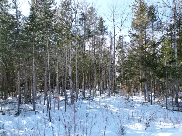 $33,000 | 20 Twin Spgs Lane, Lincoln, ME 04457
