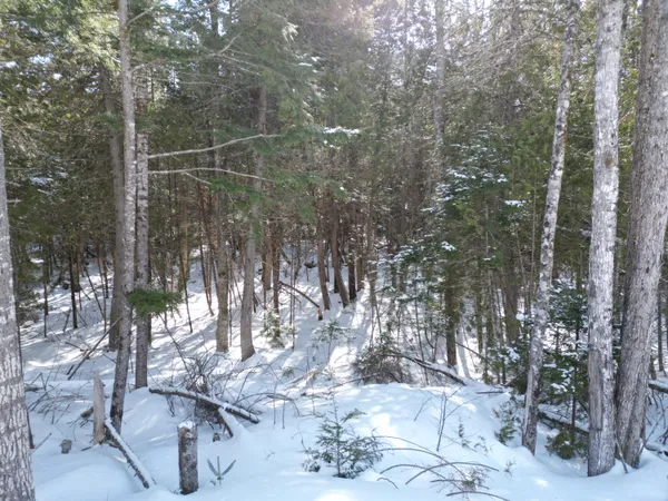 $33,000 | 20 Twin Spgs Lane, Lincoln, ME 04457