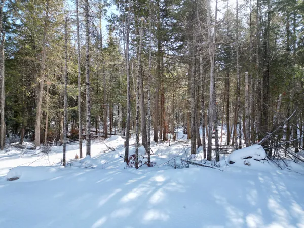 $33,000 | 20 Twin Spgs Lane, Lincoln, ME 04457