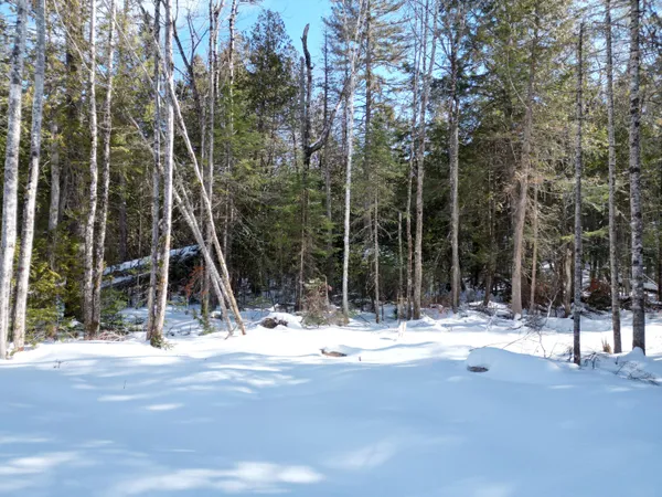 $33,000 | 20 Twin Spgs Lane, Lincoln, ME 04457