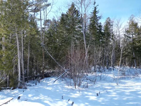 $33,000 | 20 Twin Spgs Lane, Lincoln, ME 04457