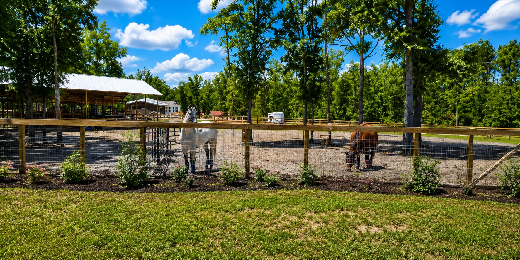 321 Marion Road Dorchester, SC 29437 - Photo 8 of 8
