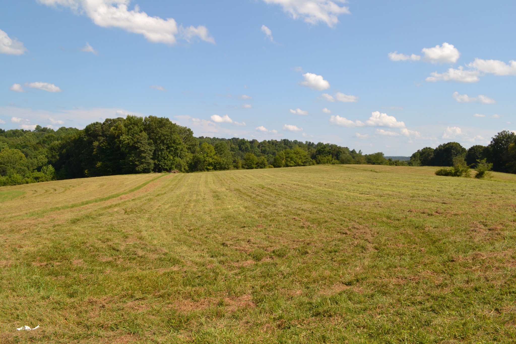 3 Kirkland Road Indian Mound, TN 37079 - Photo 1 of 6 Gallery Image 1